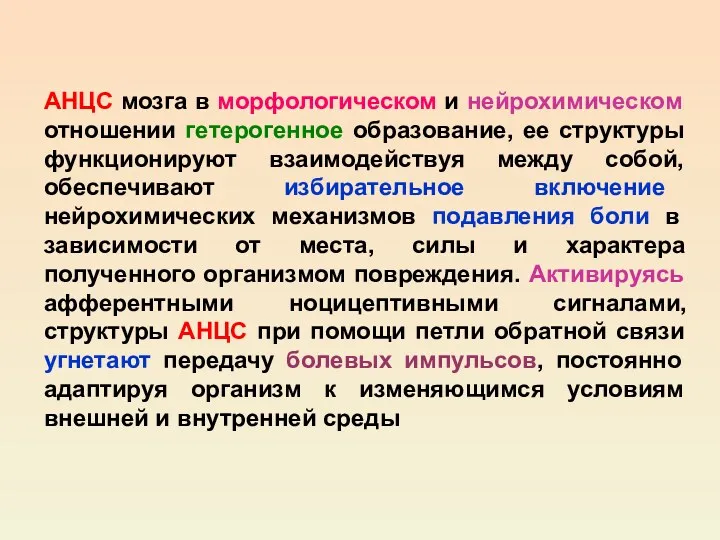 АНЦС мозга в морфологическом и нейрохимическом отношении гетерогенное образование, ее