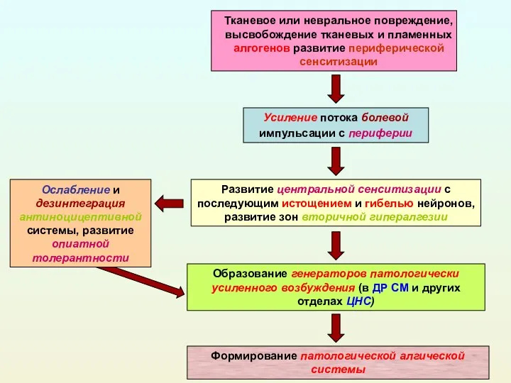 Тканевое или невральное повреждение, высвобождение тканевых и пламенных алгогенов развитие