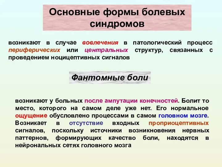 Основные формы болевых синдромов возникают в случае вовлечения в патологический