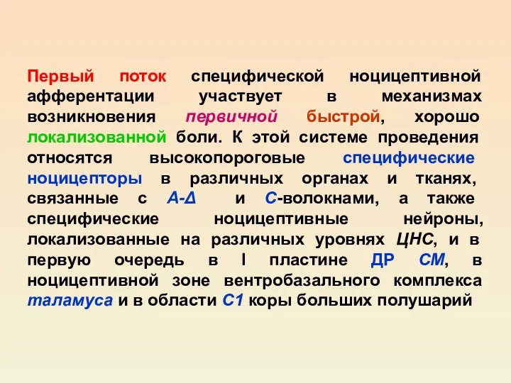 Первый поток специфической ноцицептивной афферентации участвует в механизмах возникновения первичной