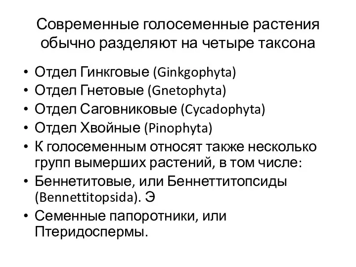 Современные голосеменные растения обычно разделяют на четыре таксона Отдел Гинкговые (Ginkgophyta) Отдел Гнетовые