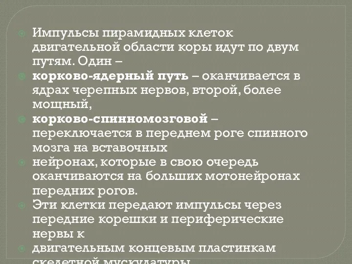 Импульсы пирамидных клеток двигательной области коры идут по двум путям.