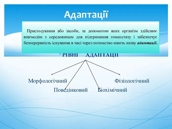 РІВНІ АДАПТАЦІЇ Морфологічний Фізіологічний Поведінковий Біохімічний Адаптації Пристосування або засоби,