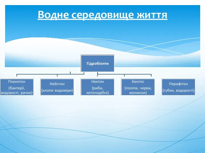 Водне середовище життя