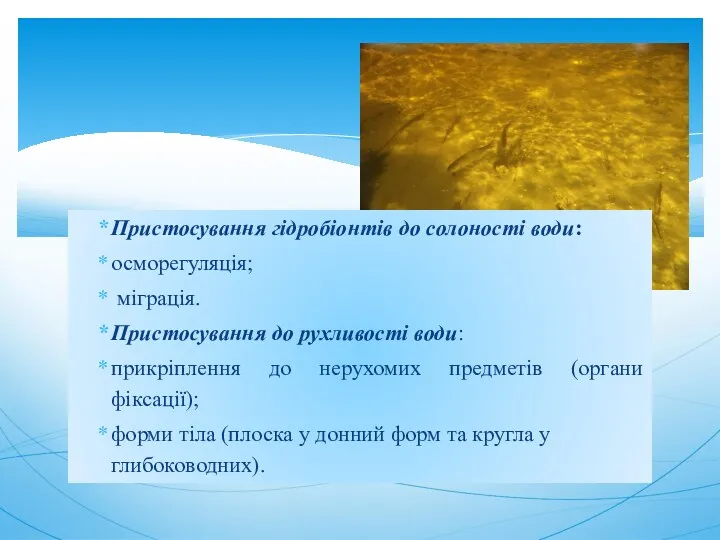 Пристосування гідробіонтів до солоності води: осморегуляція; міграція. Пристосування до рухливості