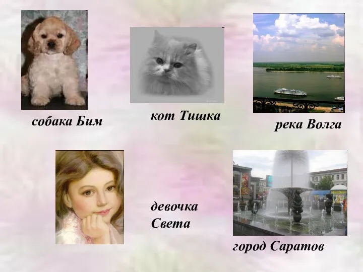 собака Бим кот Тишка река Волга девочка Света город Саратов