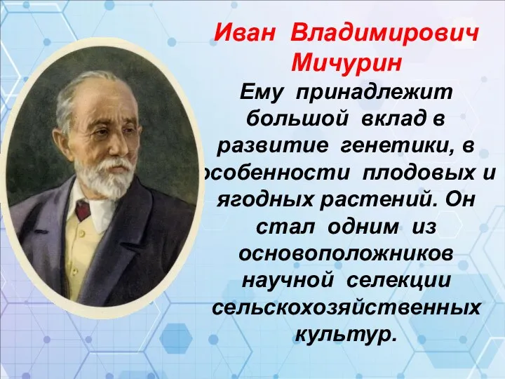 Иван Владимирович Мичурин Ему принадлежит большой вклад в развитие генетики, в особенности плодовых
