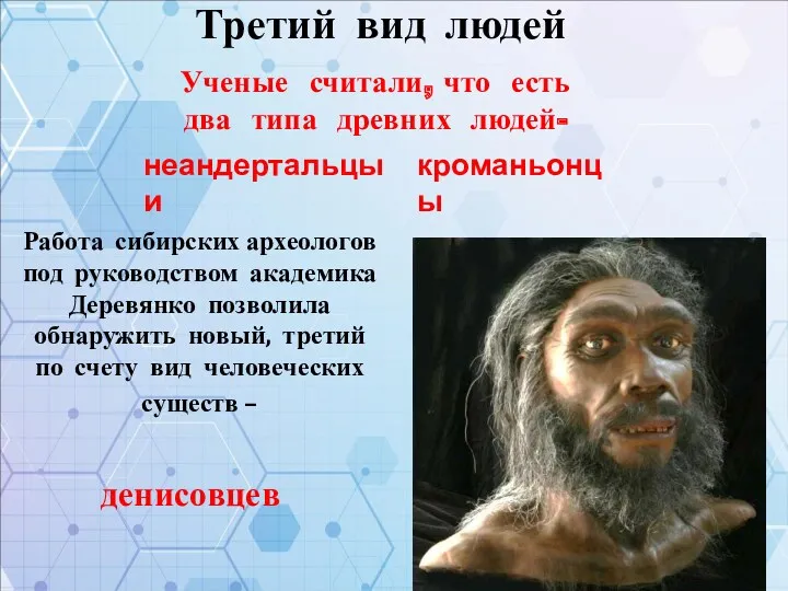 Третий вид людей Работа сибирских археологов под руководством академика Деревянко позволила обнаружить новый,