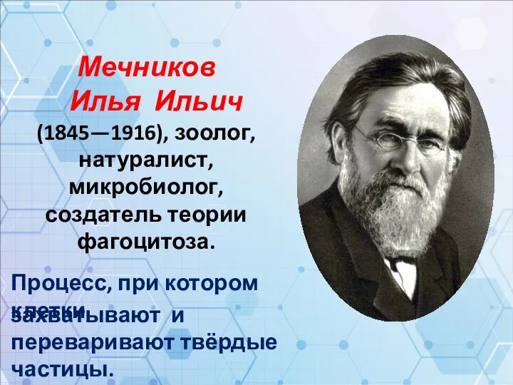 Мечников Илья Ильич (1845—1916), зоолог, натуралист, микробиолог, создатель теории фагоцитоза. Процесс, при котором