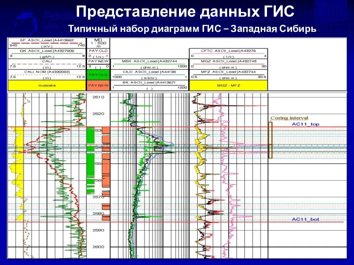 Представление данных ГИС Типичный набор диаграмм ГИС – Западная Сибирь