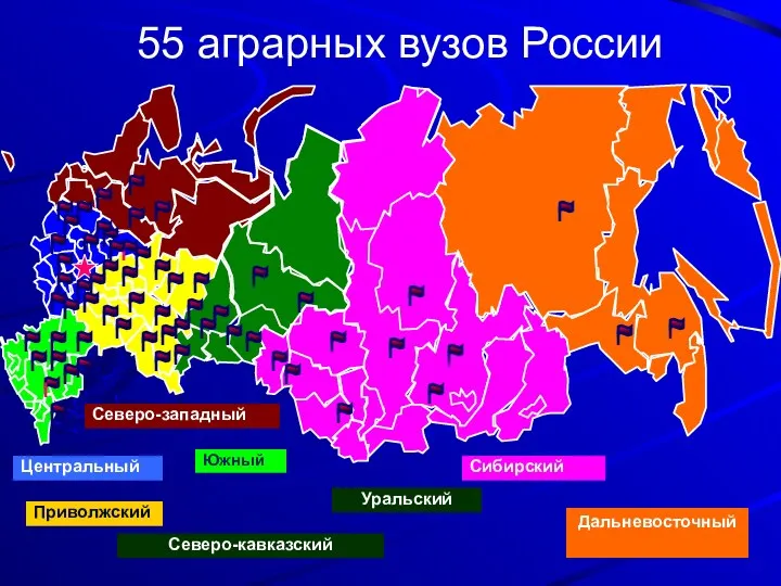 55 аграрных вузов России Центральный Северо-западный Приволжский Южный Уральский Сибирский Дальневосточный Северо-кавказский