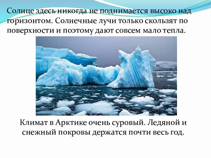 Климат в Арктике очень суровый. Ледяной и снежный покровы держатся