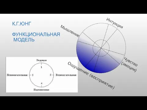 К.Г.ЮНГ ФУНКЦИОНАЛЬНАЯ МОДЕЛЬ