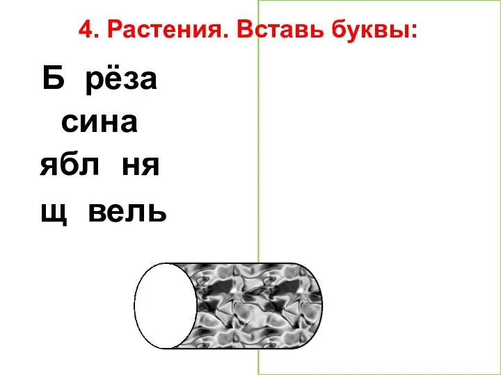 4. Растения. Вставь буквы: Берёза осина яблоня щавель