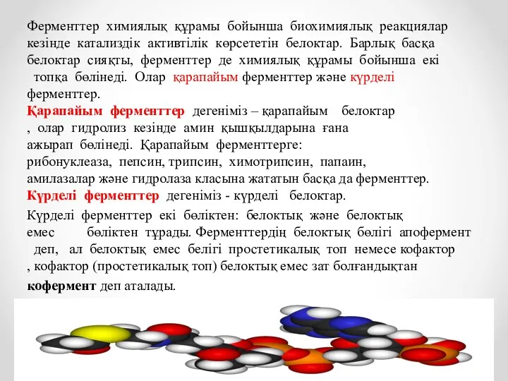 Ферменттер химиялық құрамы бойынша биохимиялық реакциялар кезінде катализдік активтілік көрсететін