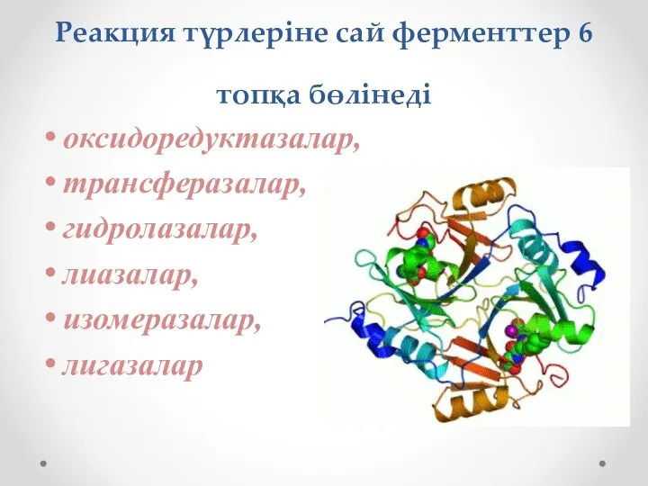 Реакция түрлеріне сай ферменттер 6 топқа бөлінеді оксидоредуктазалар, трансферазалар, гидролазалар, лиазалар, изомеразалар, лигазалар