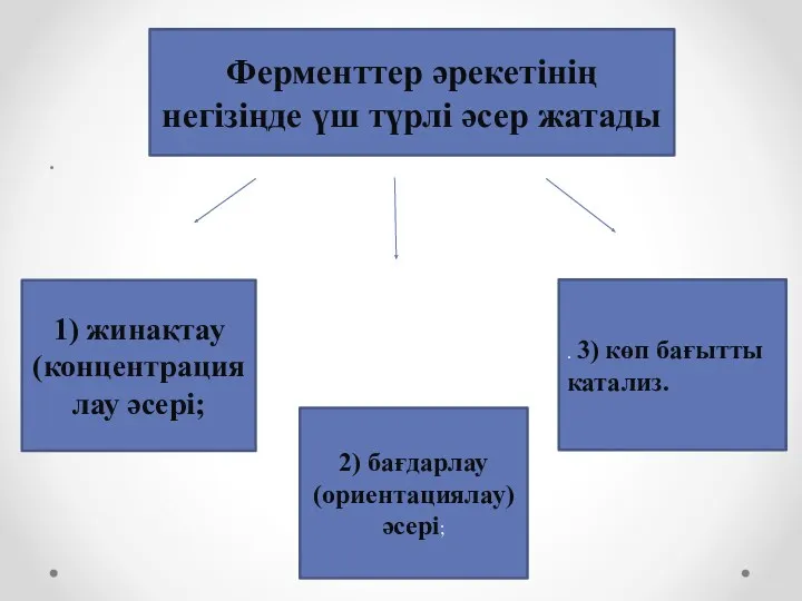 . Ферменттер әрекетінің негізіңде үш түрлі әсер жатады 1) жинақтау