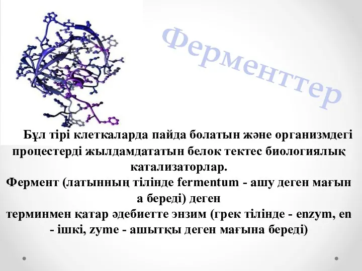 Бұл тірі клеткаларда пайда болатын және организмдегі процестерді жылдамдататын белок