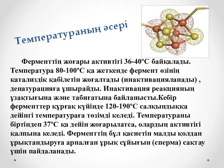 Температураның әсері Ферменттің жоғары активтігі 36-40ºС байқалады. Температура 80-100ºС қа