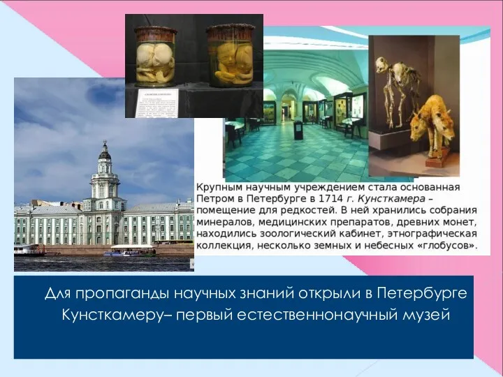 Для пропаганды научных знаний открыли в Петербурге Кунсткамеру– первый естественнонаучный музей