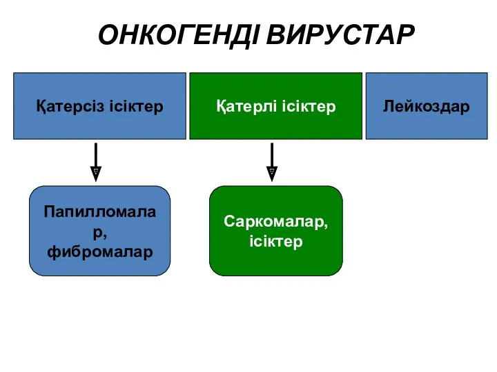 ОНКОГЕНДІ ВИРУСТАР Қатерсіз ісіктер Қатерлі ісіктер Лейкоздар Папилломалар, фибромалар Саркомалар, ісіктер