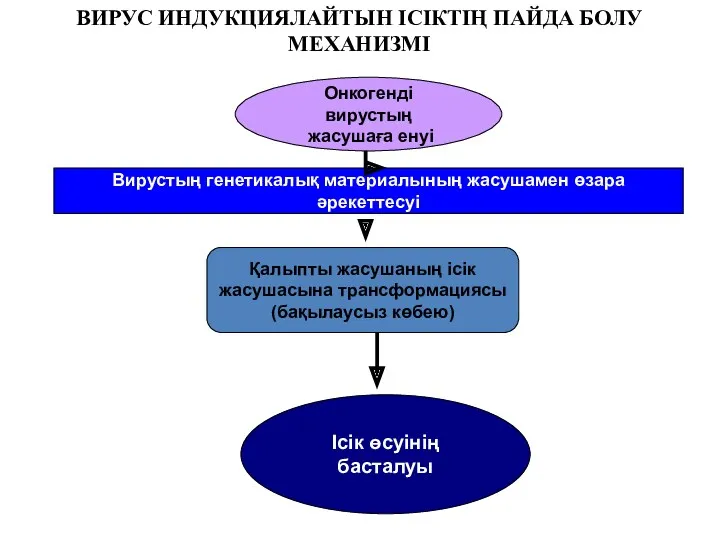 ВИРУС ИНДУКЦИЯЛАЙТЫН ІСІКТІҢ ПАЙДА БОЛУ МЕХАНИЗМІ Онкогенді вирустың жасушаға енуі