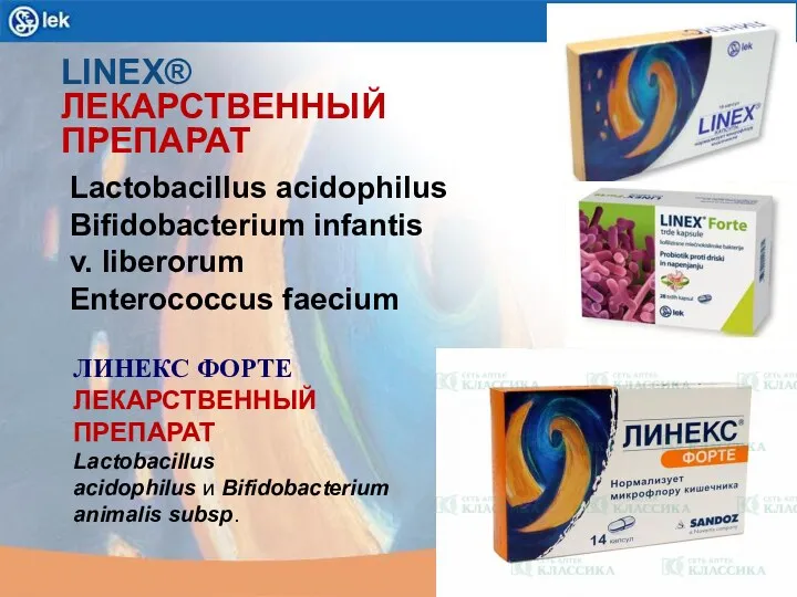 LINEX® ЛЕКАРСТВЕННЫЙ ПРЕПАРАТ Lactobacillus acidophilus Bifidobacterium infantis v. liberorum Enterococcus