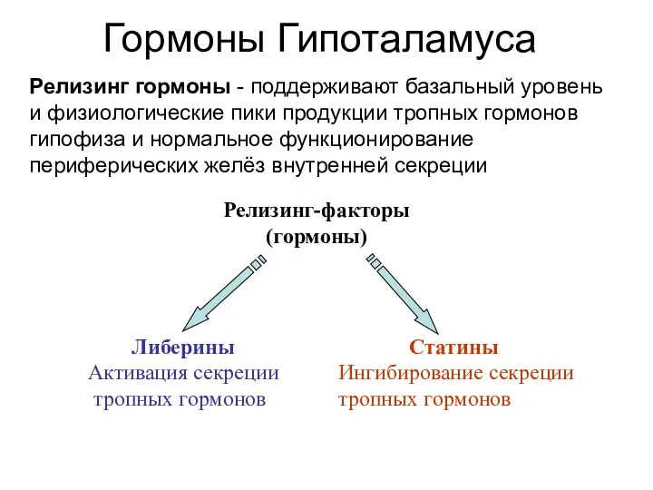 Релизинг гормоны - поддерживают базальный уровень и физиологические пики продукции