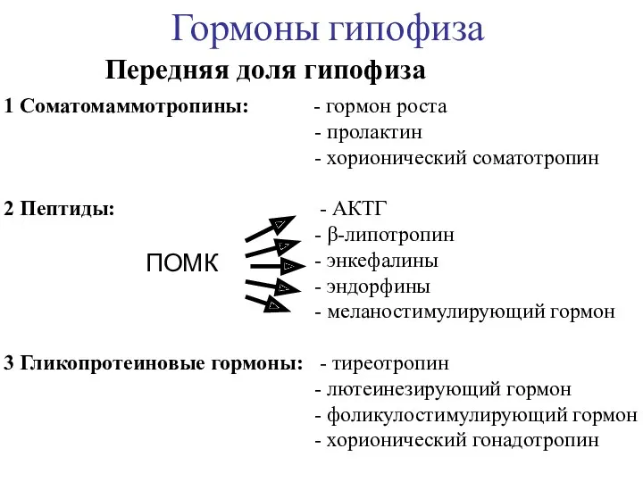 Гормоны гипофиза Передняя доля гипофиза 1 Соматомаммотропины: - гормон роста