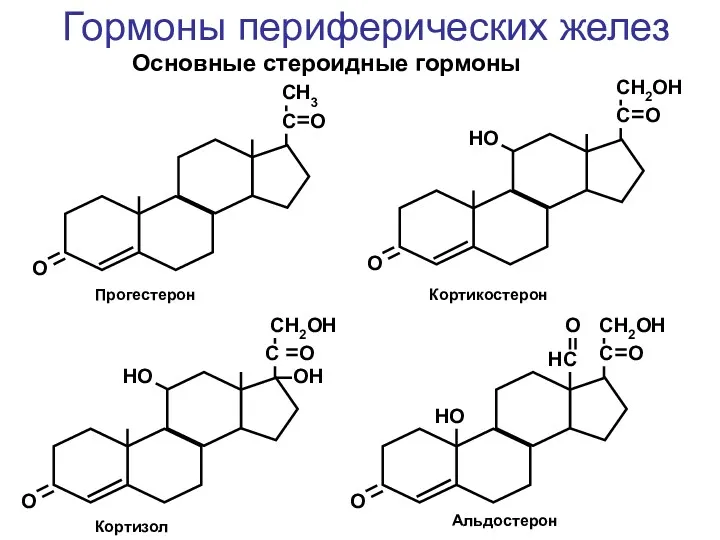 Основные стероидные гормоны С O CH3 O С O CH2OH