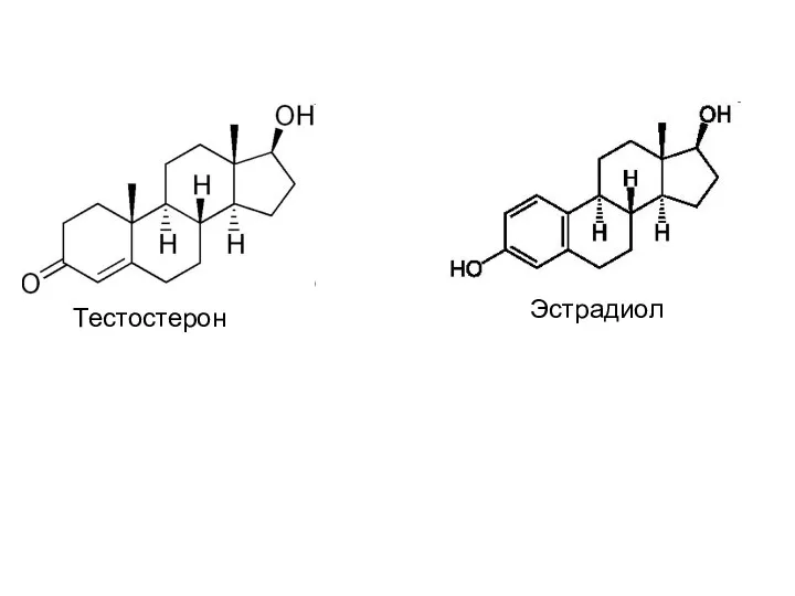 Тестостерон Эстрадиол