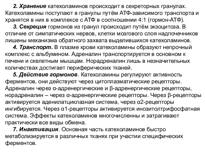 2. Хранение катехоламинов происходит в секреторных гранулах. Катехоламины поступают в