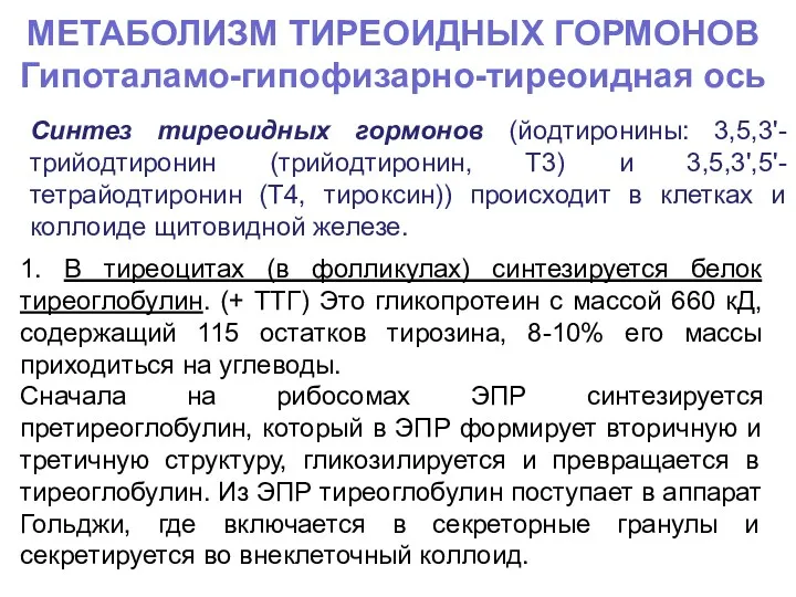 МЕТАБОЛИЗМ ТИРЕОИДНЫХ ГОРМОНОВ Гипоталамо-гипофизарно-тиреоидная ось Синтез тиреоидных гормонов (йодтиронины: 3,5,3'-трийодтиронин