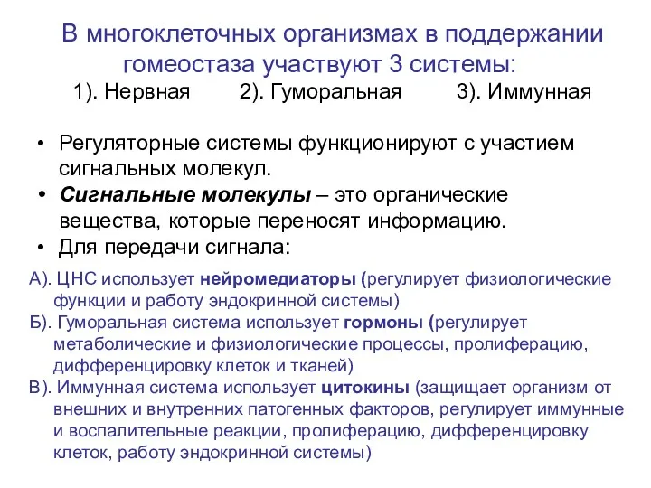 В многоклеточных организмах в поддержании гомеостаза участвуют 3 системы: 1).