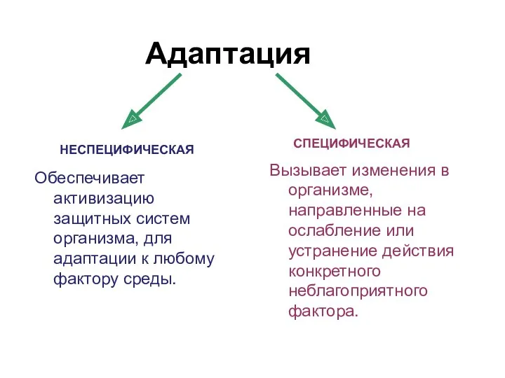 Адаптация СПЕЦИФИЧЕСКАЯ НЕСПЕЦИФИЧЕСКАЯ Вызывает изменения в организме, направленные на ослабление