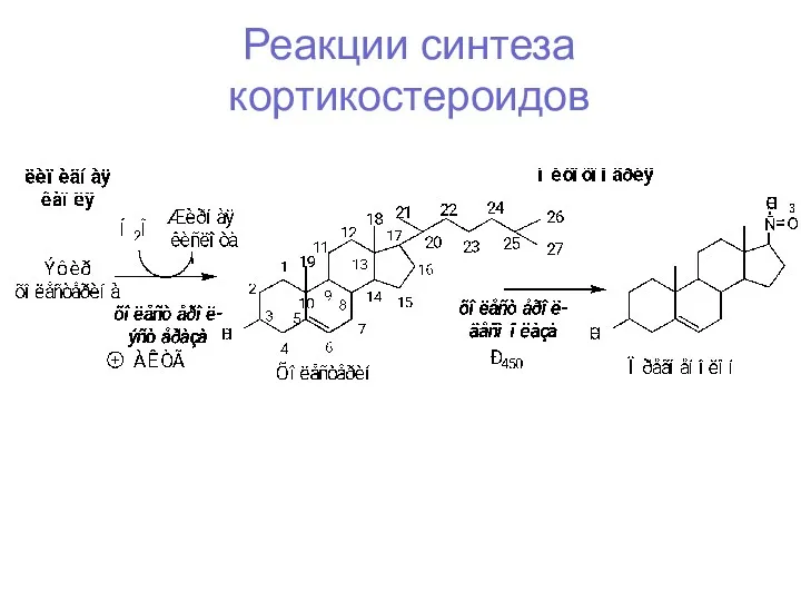 Реакции синтеза кортикостероидов