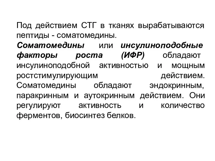 Под действием СТГ в тканях вырабатываются пептиды - соматомедины. Соматомедины