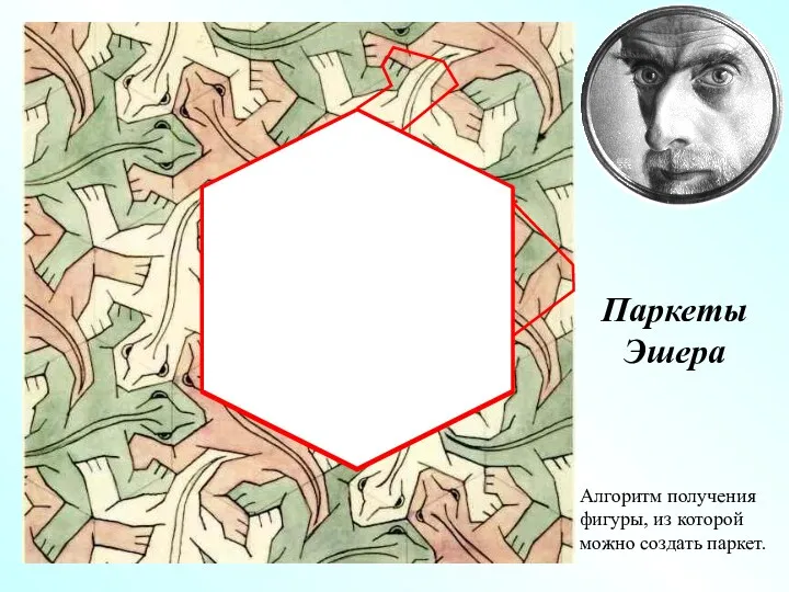 Алгоритм получения фигуры, из которой можно создать паркет. Паркеты Эшера