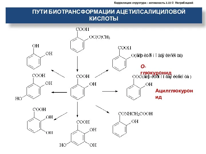 ПУТИ БИОТРАНСФОРМАЦИИ АЦЕТИЛСАЛИЦИЛОВОЙ КИСЛОТЫ О-глюкуронид Ацилглюкуронид Корреляции структура – активность 2.22 © Негребецкий