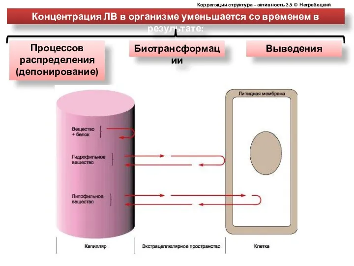 Концентрация ЛВ в организме уменьшается со временем в результате: Процессов