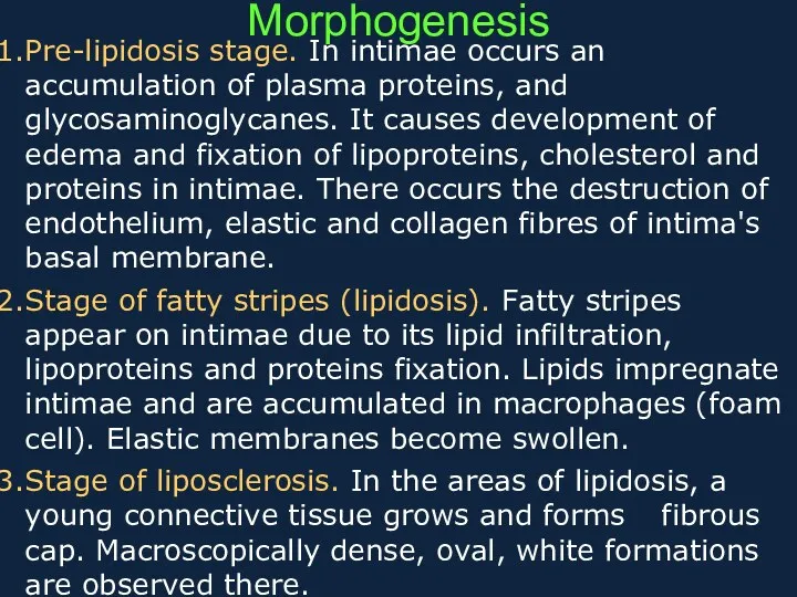 Morphogenesis Pre-lipidosis stage. In intimae occurs an accumulation of plasma