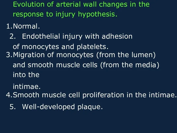 Evolution of arterial wall changes in the response to injury