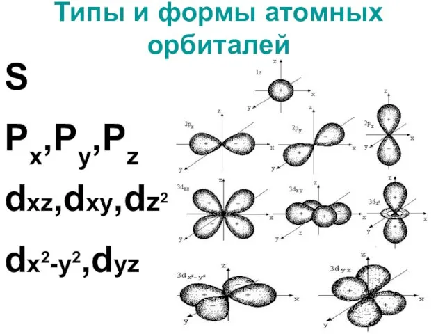 Типы и формы атомных орбиталей S Px,Py,Pz dxz,dxy,dz2 dx2-y2,dyz