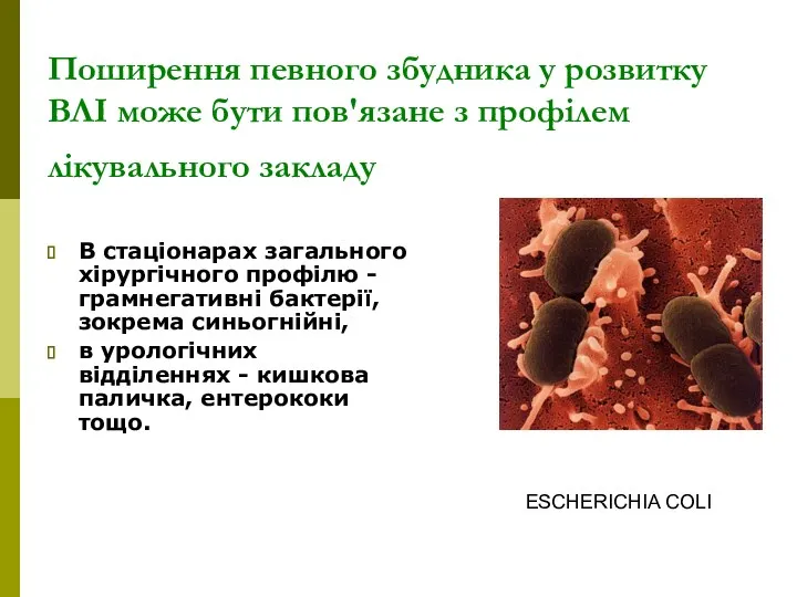 Поширення певного збудника у розвитку ВЛІ може бути пов'язане з профілем лікувального закладу