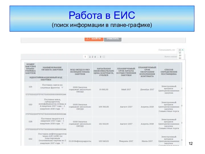 Работа в ЕИС (поиск информации в плане-графике)