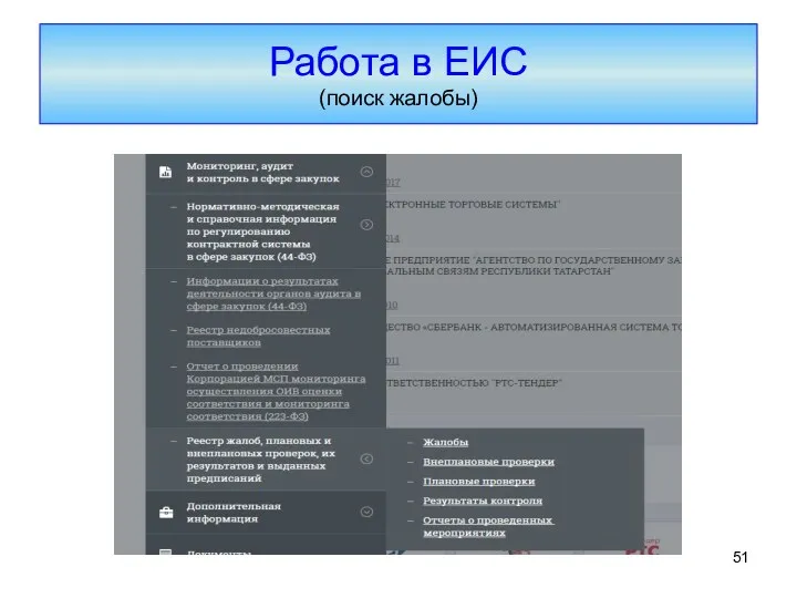 Работа в ЕИС (поиск жалобы)