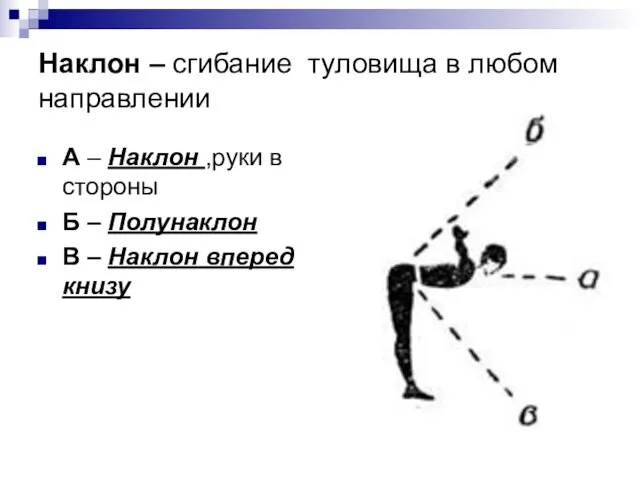 Наклон – сгибание туловища в любом направлении А – Наклон