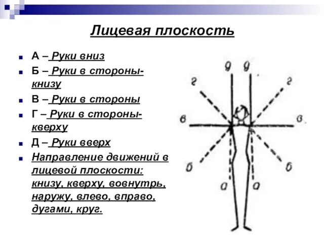 Лицевая плоскость А – Руки вниз Б – Руки в