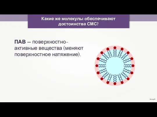 Какие же молекулы обеспечивают достоинства СМС? ПАВ — поверхностно-активные вещества (меняют поверхностное натяжение). Onco p53