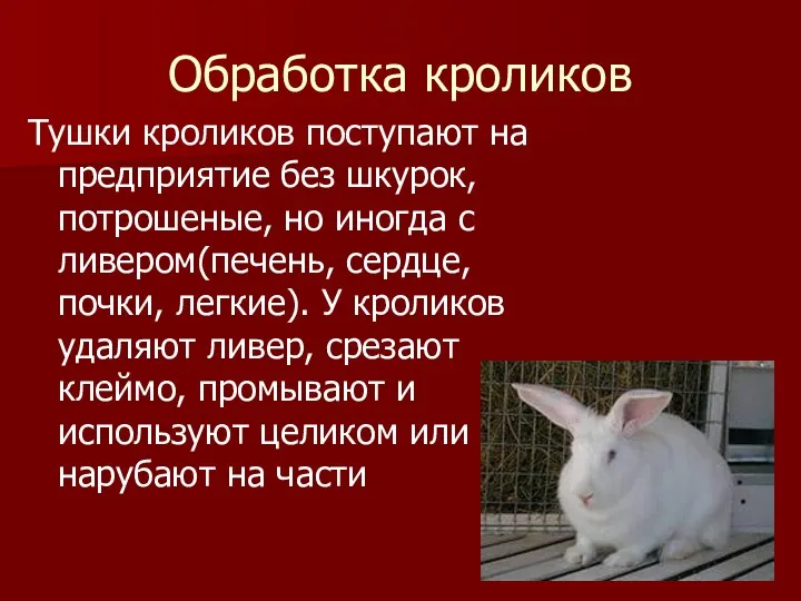 Обработка кроликов Тушки кроликов поступают на предприятие без шкурок, потрошеные,